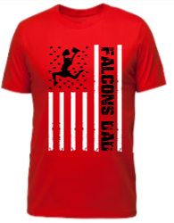 Falcons Cheer Dad T-Shirt