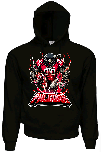 Falcons Black Bird Hoodie